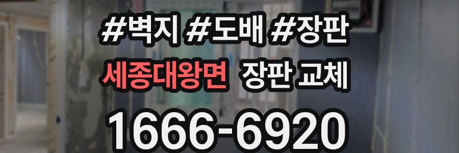 세종대왕면 장판 교체