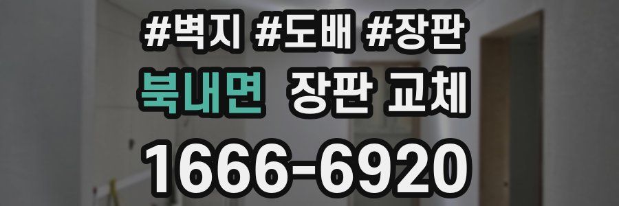 북내면 장판 교체