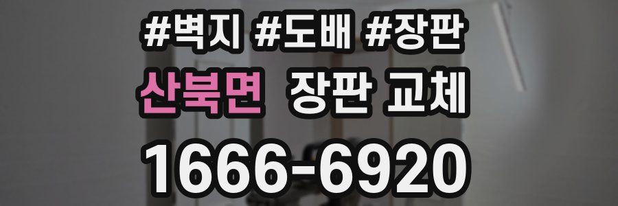 산북면 장판 교체