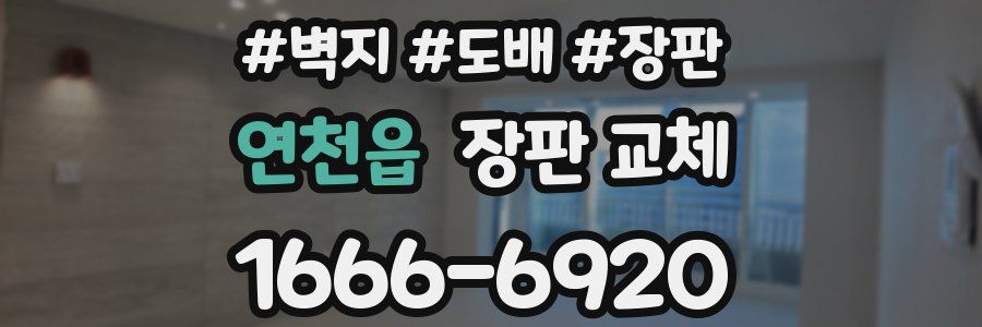 연천읍 장판 교체
