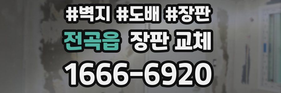 전곡읍 장판 교체