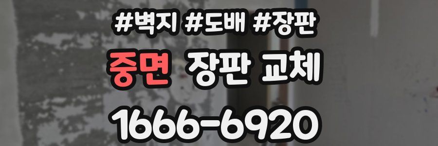 중면 장판 교체