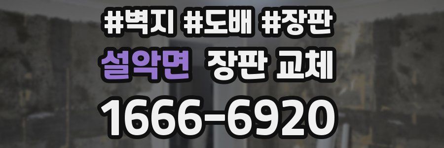 설악면 장판 교체