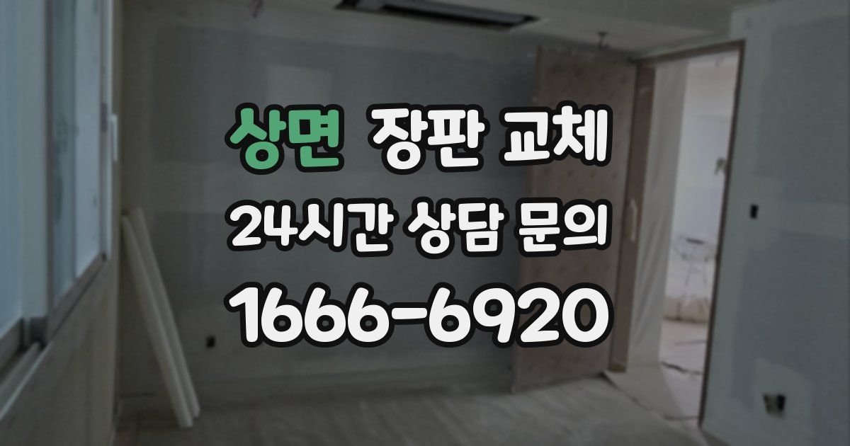 상면 장판 교체