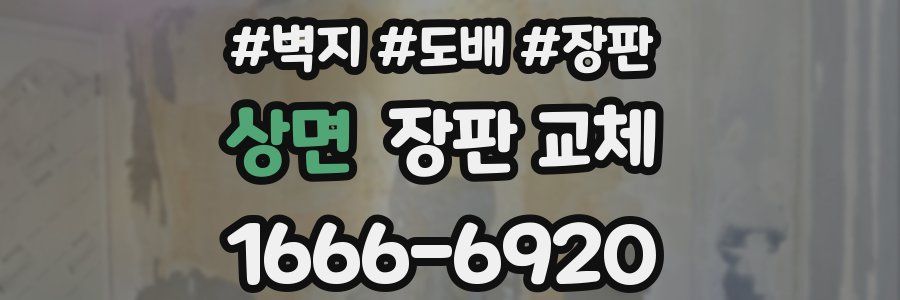 상면 장판 교체