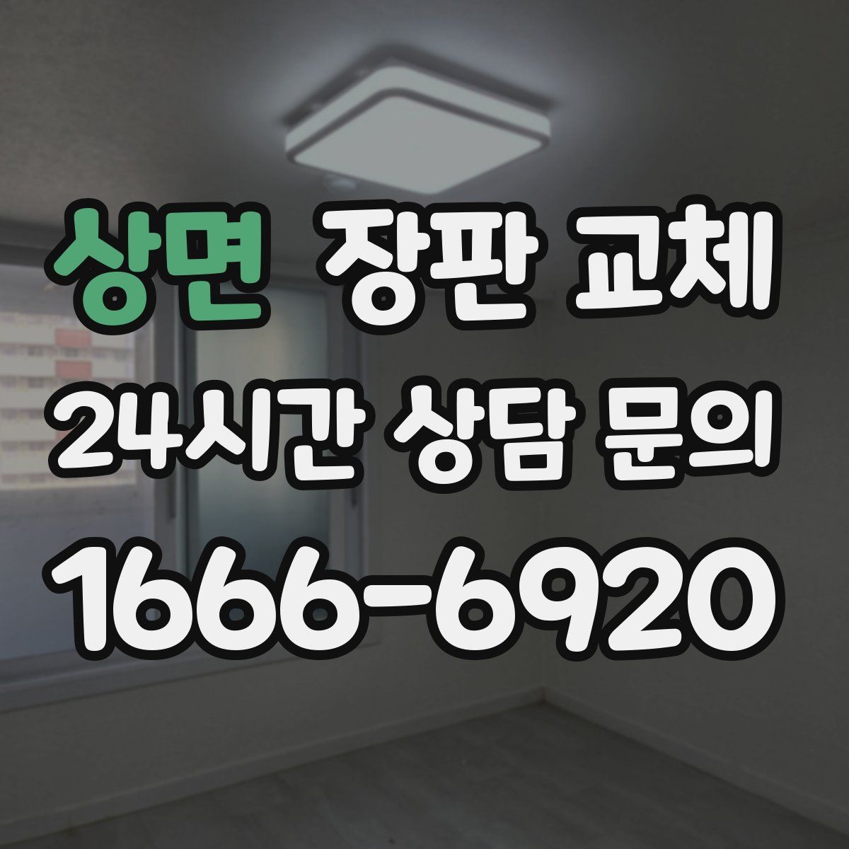 상면 장판 교체