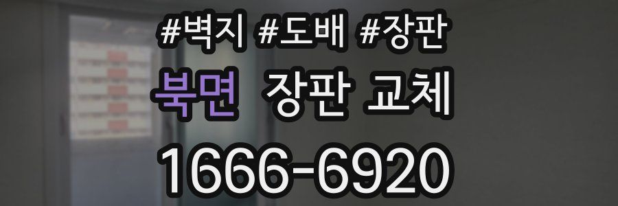 북면 장판 교체