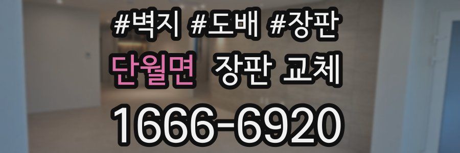 단월면 장판 교체