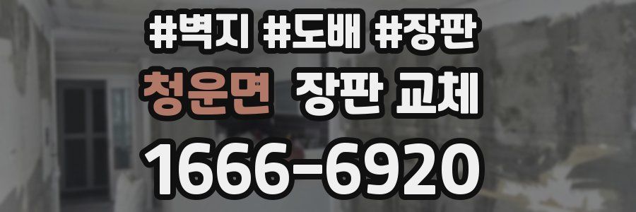청운면 장판 교체