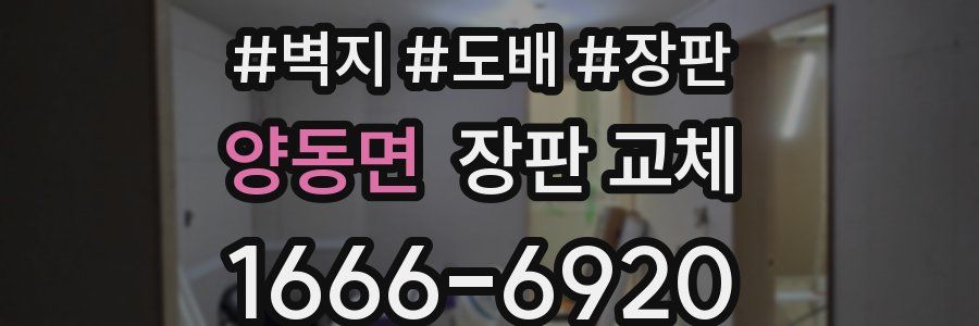 양동면 장판 교체