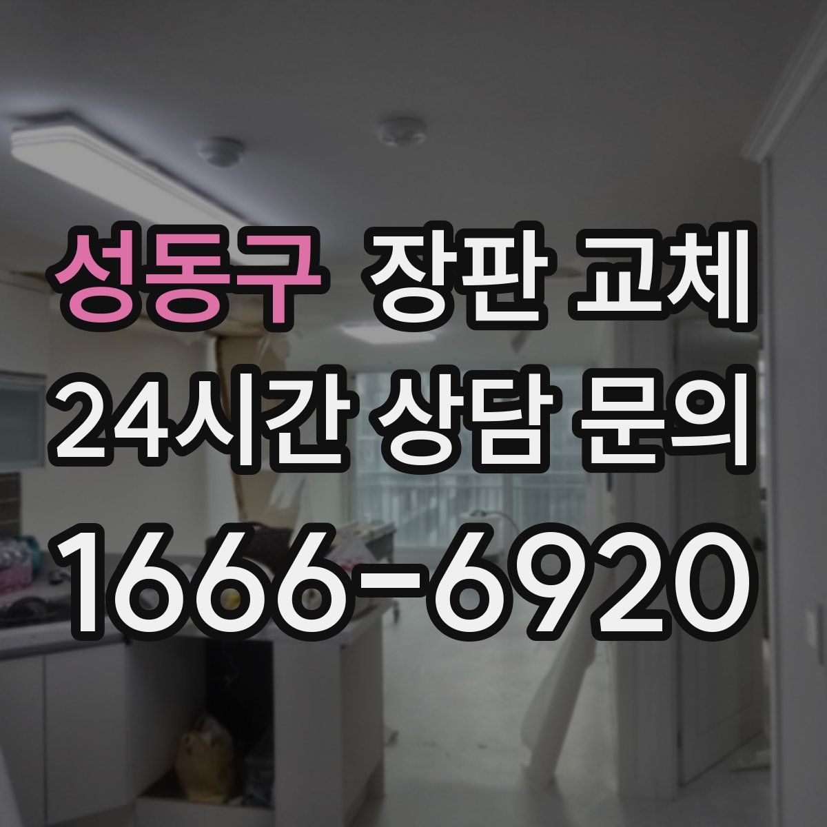 성동구 장판 교체