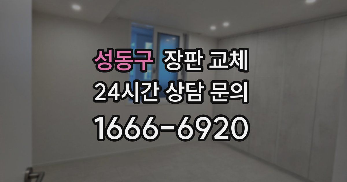 성동구 장판 교체