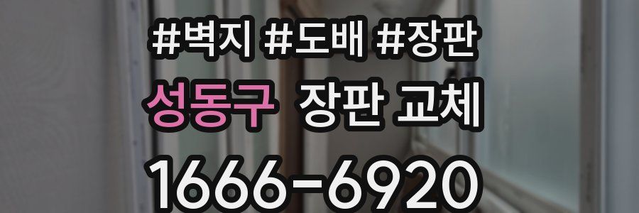 성동구 장판 교체
