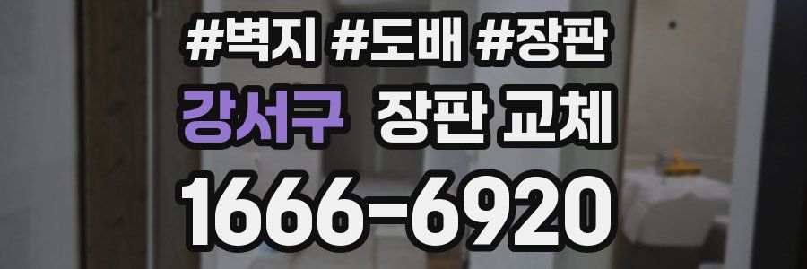 강서구 장판 교체