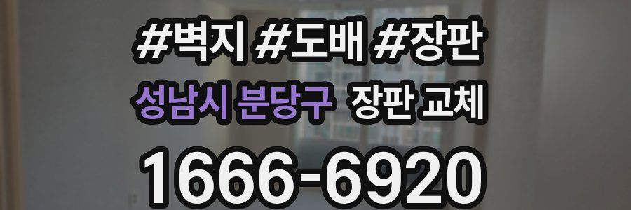 성남시 분당구 장판 교체