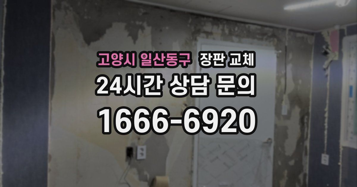 고양시 일산동구 장판 교체