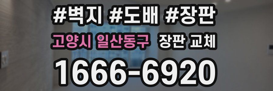 고양시 일산동구 장판 교체