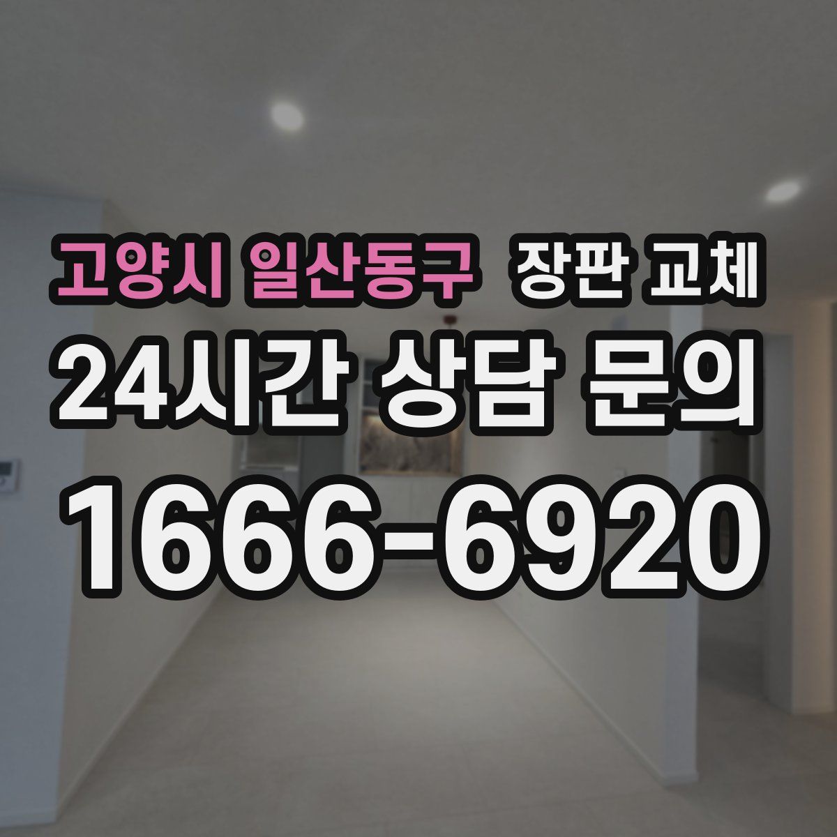 고양시 일산동구 장판 교체