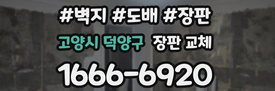 고양시 덕양구 장판 교체
