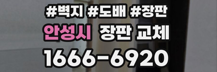 안성시 장판 교체