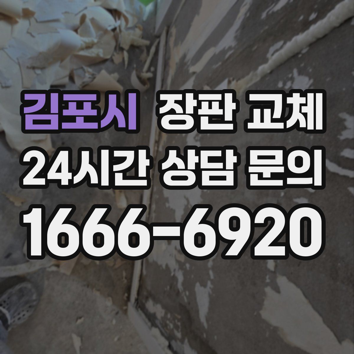 김포시 장판 교체