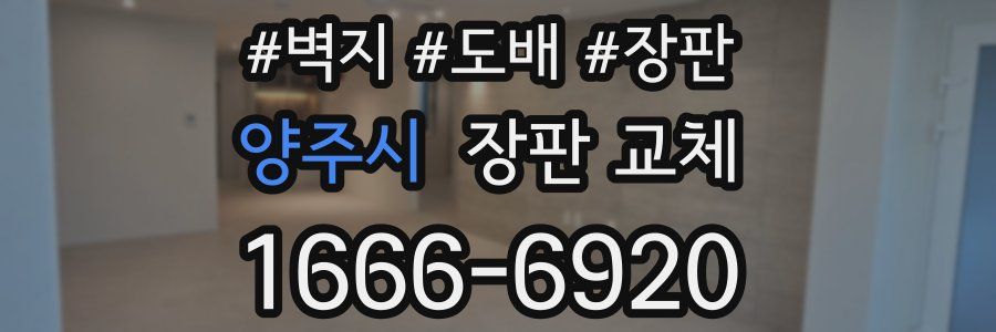 양주시 장판 교체