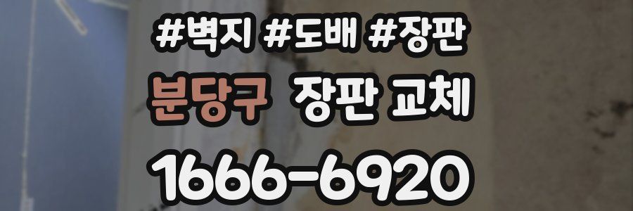 분당구 장판 교체