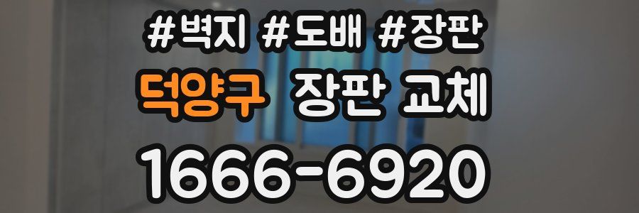 덕양구 장판 교체
