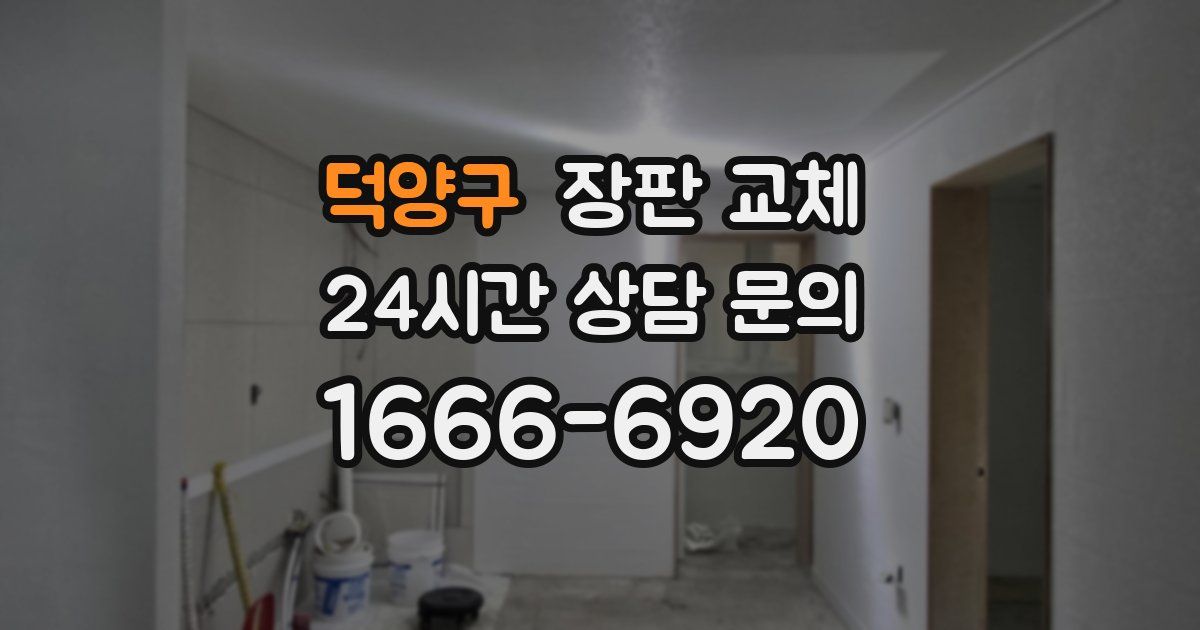 덕양구 장판 교체