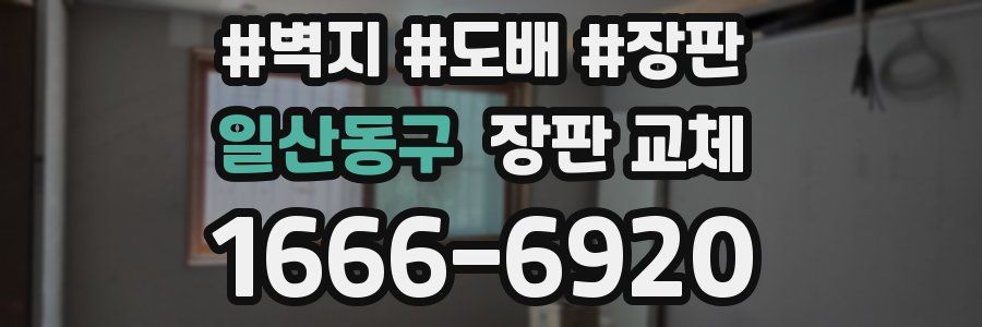 일산동구 장판 교체