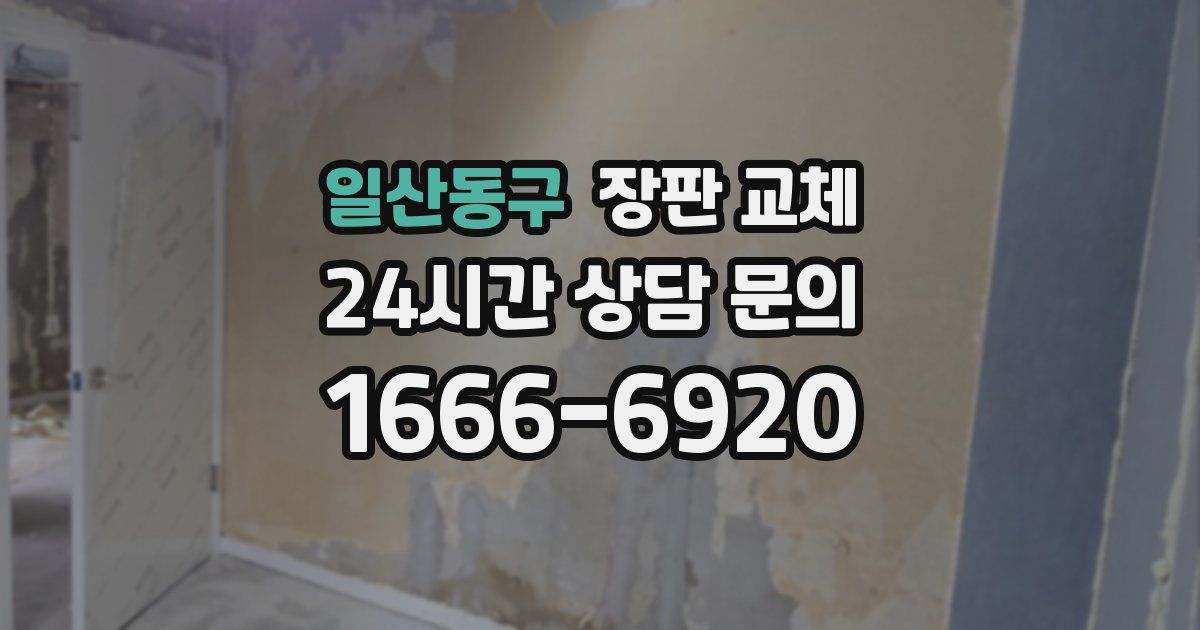 일산동구 장판 교체