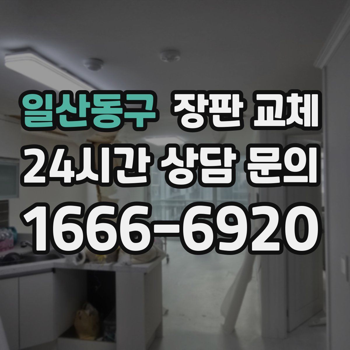 일산동구 장판 교체