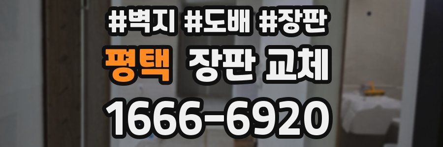 평택 장판 교체