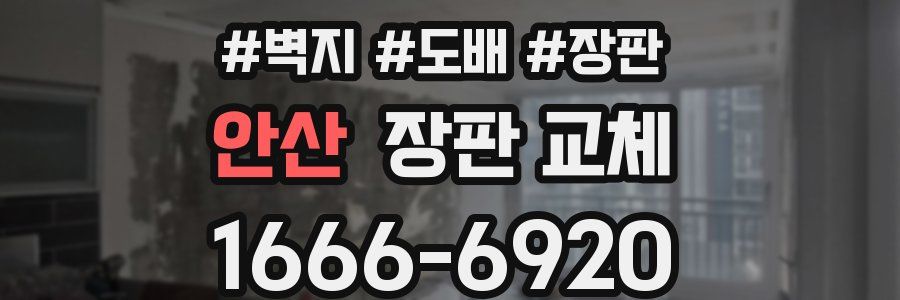안산 장판 교체