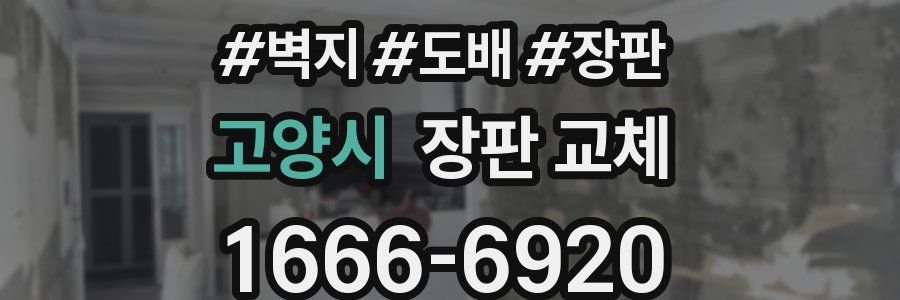 고양시 장판 교체
