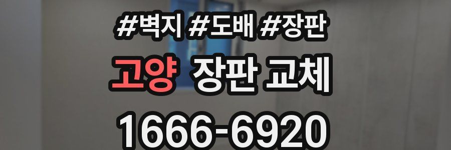 고양 장판 교체