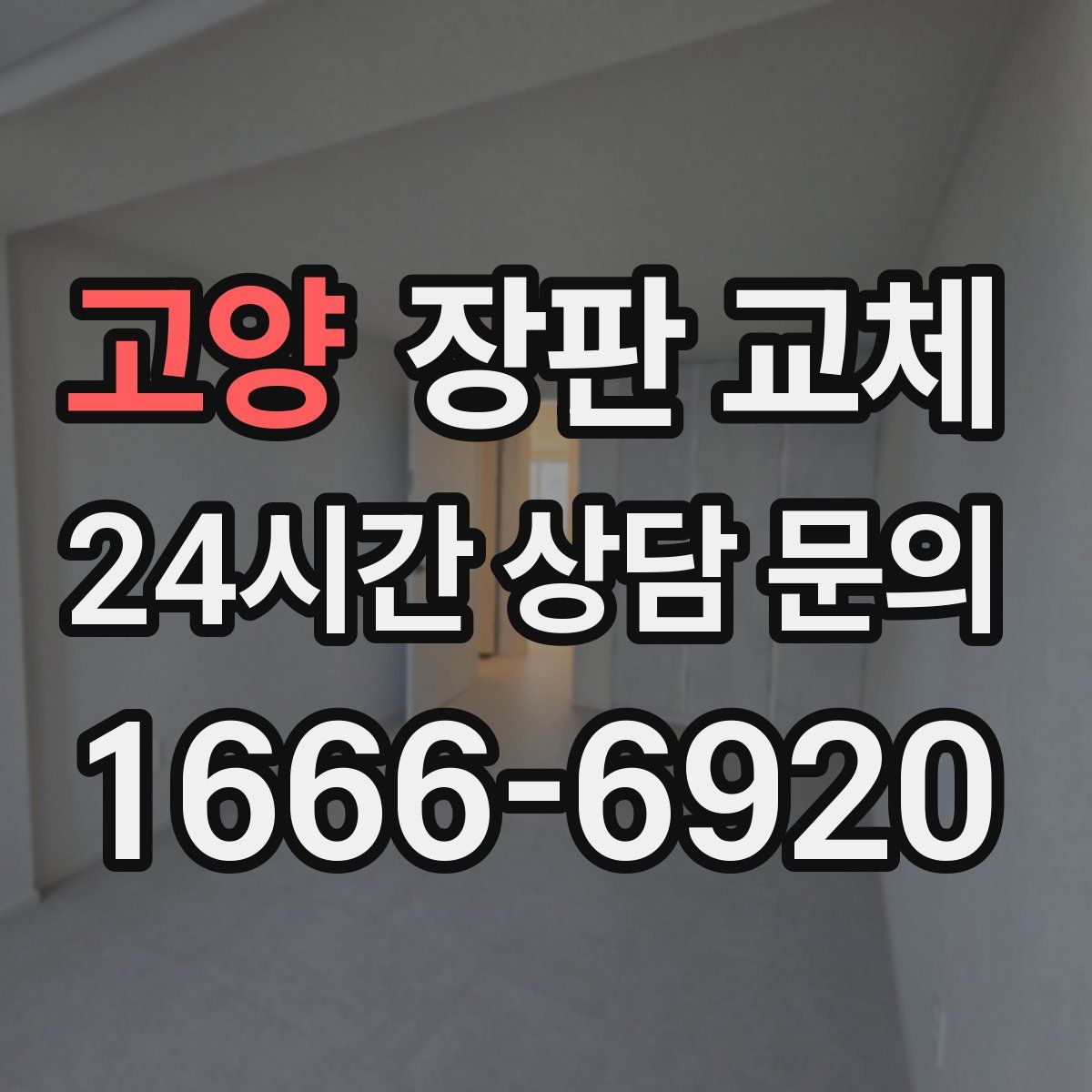 고양 장판 교체