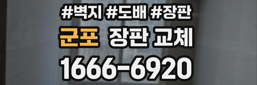 군포 장판 교체
