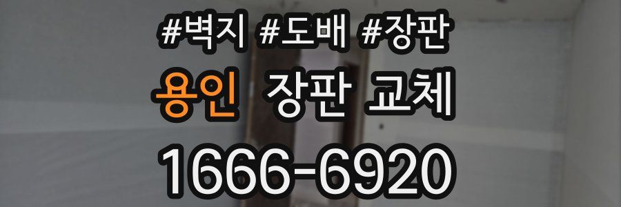 용인 장판 교체