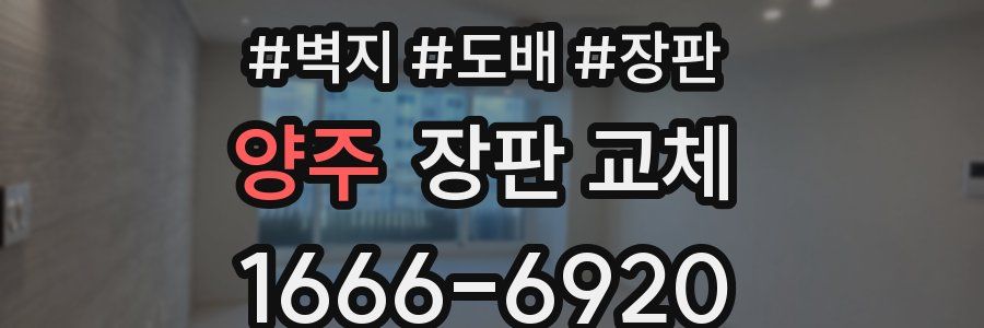 양주 장판 교체