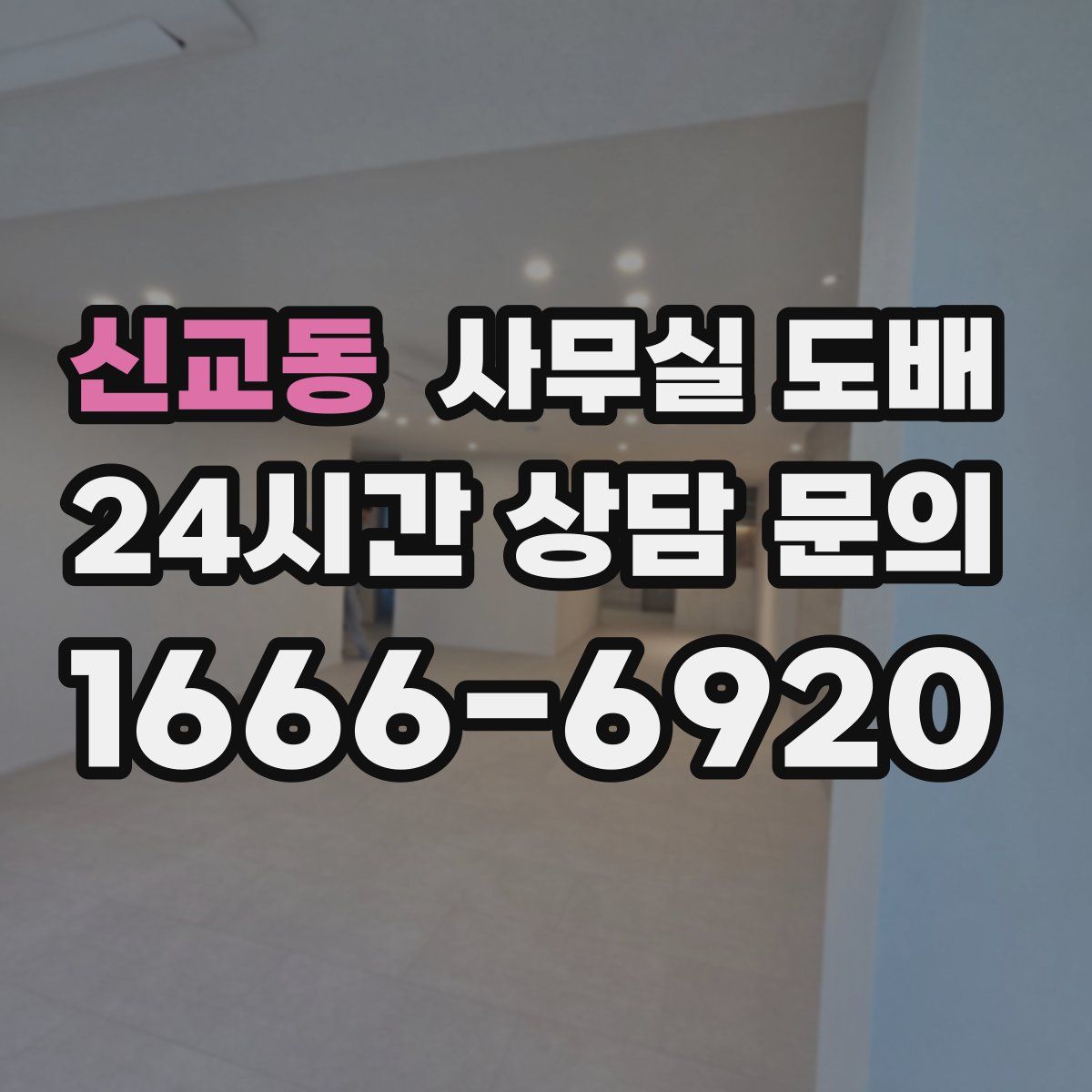 신교동 사무실 도배