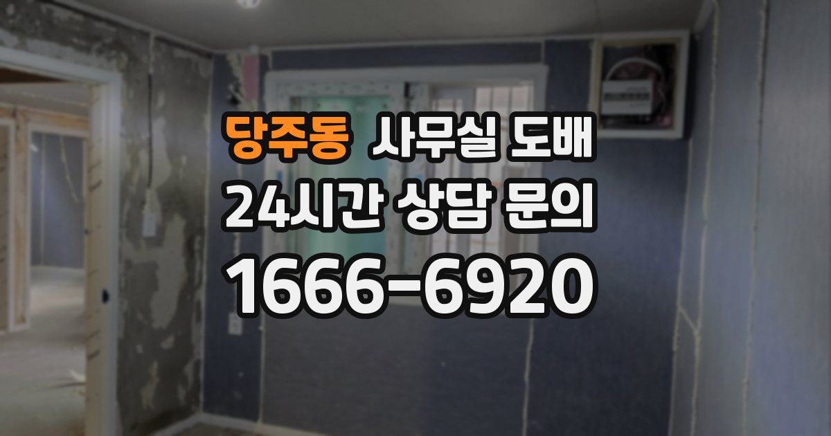 당주동 사무실 도배