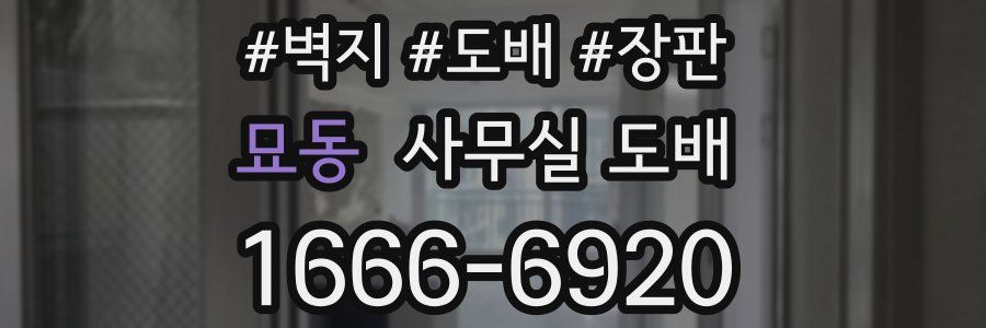 묘동 사무실 도배