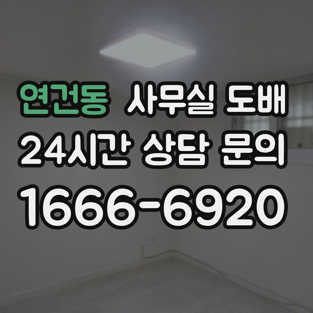 연건동 사무실 도배