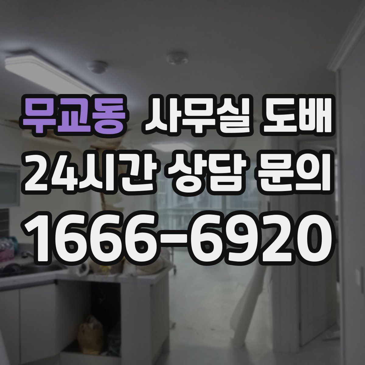 무교동 사무실 도배