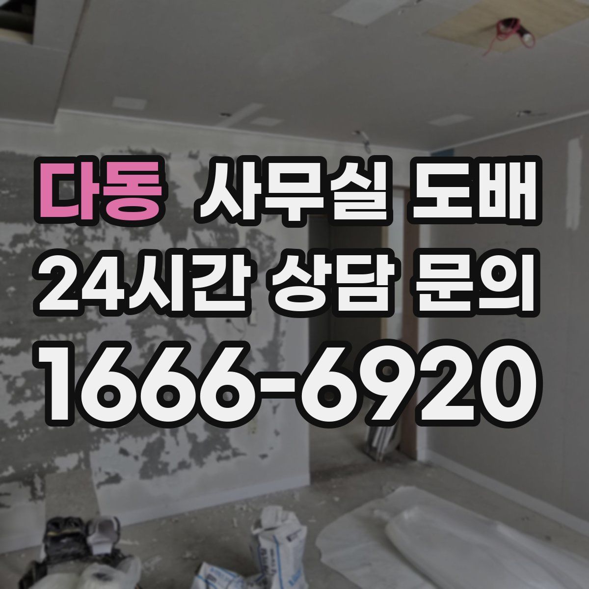 다동 사무실 도배
