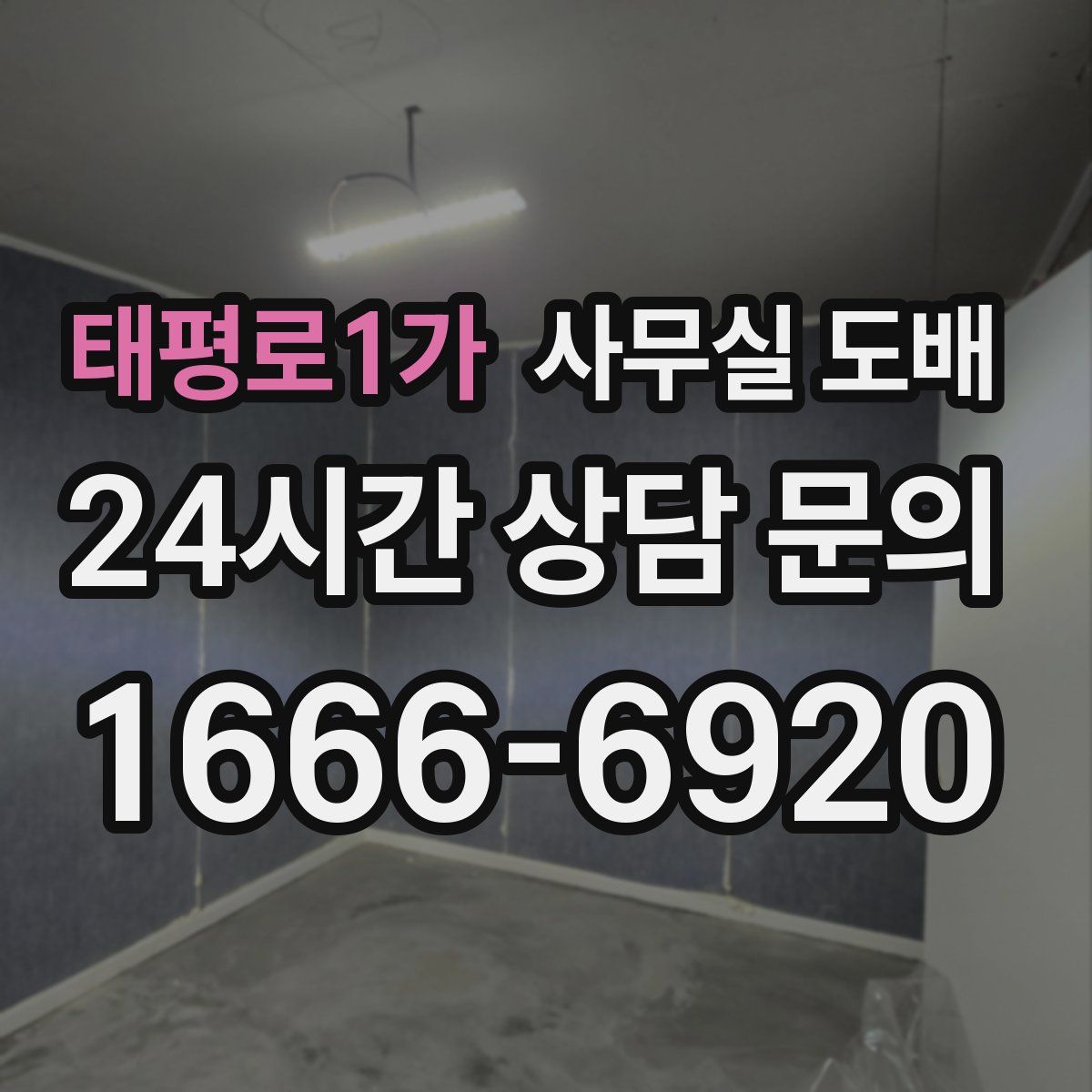 태평로1가 사무실 도배