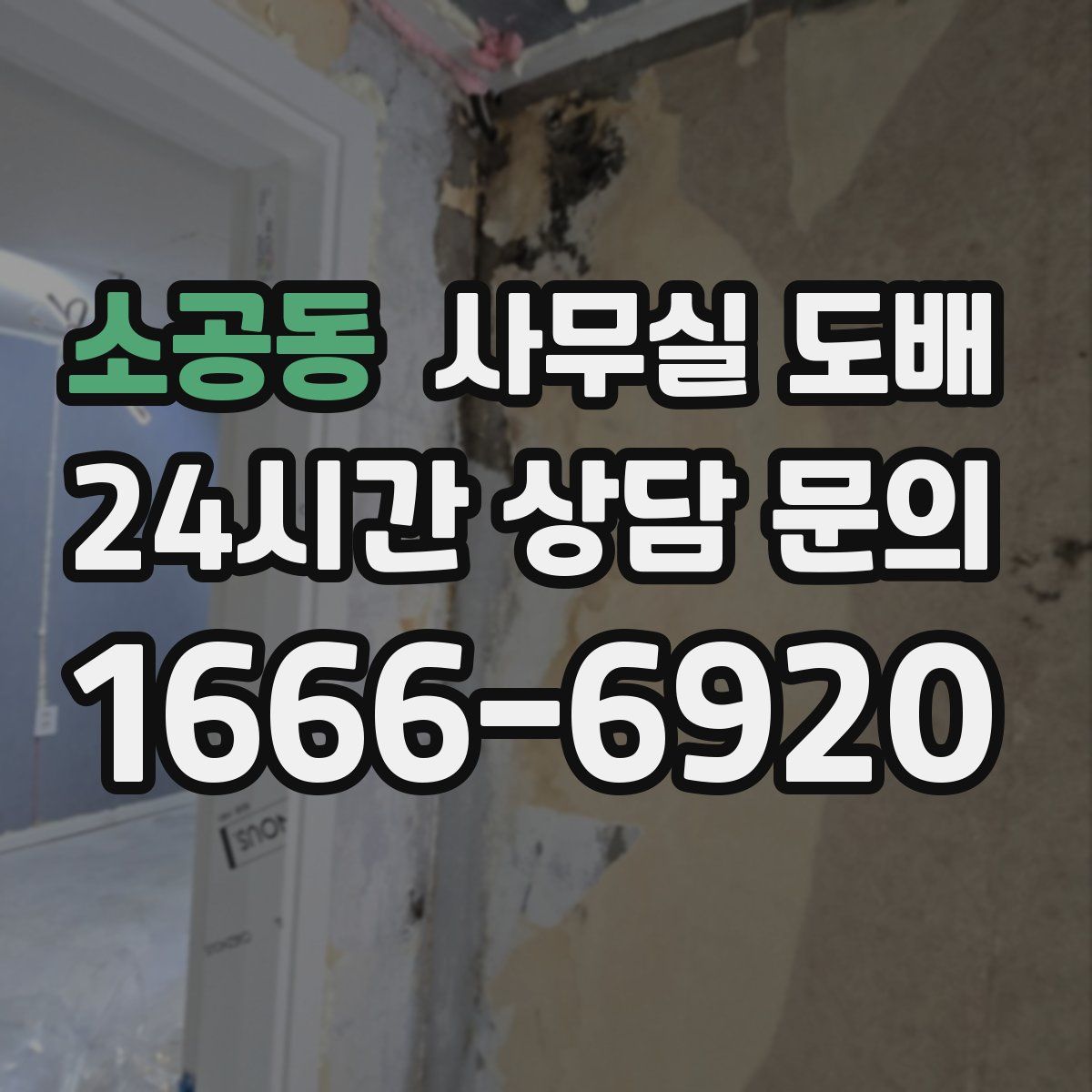 소공동 사무실 도배