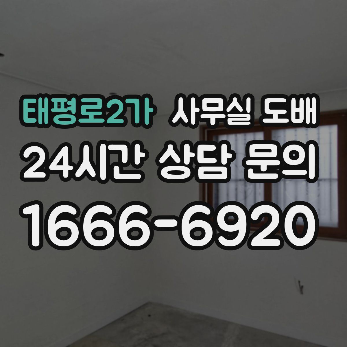 태평로2가 사무실 도배