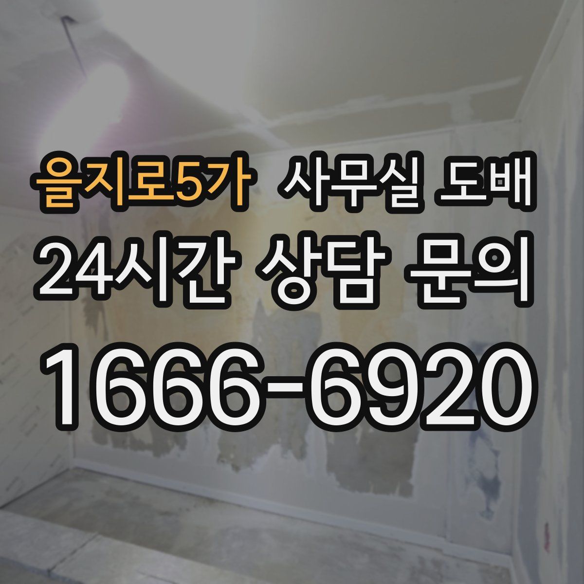 을지로5가 사무실 도배